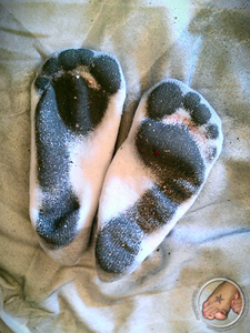 Painted Foot Print Socks
